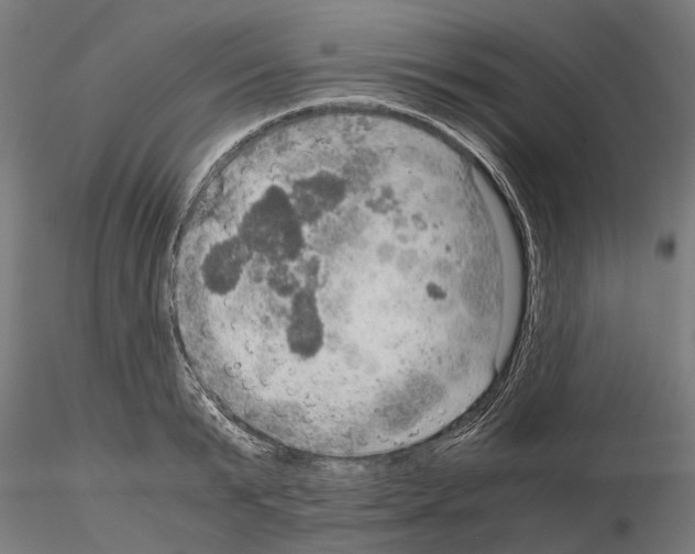 X0000115190799200912091109