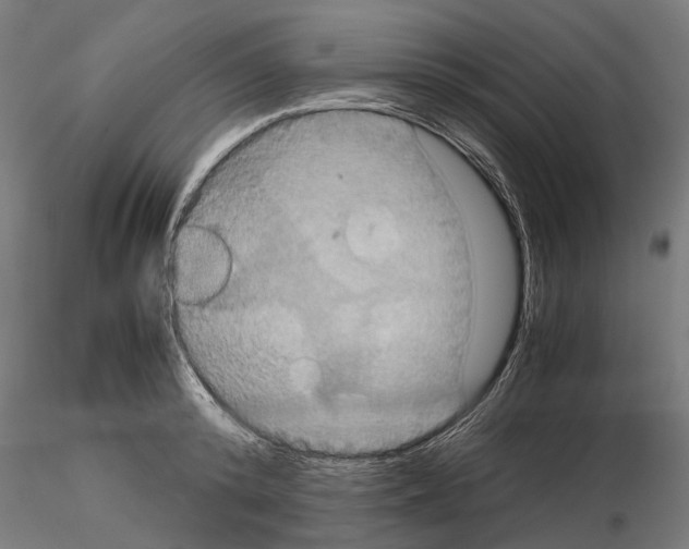 X0000115190800200912091109