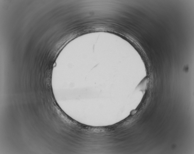 X0000115190801200912091109