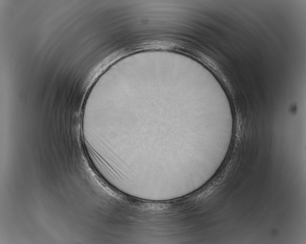 X0000115190802200912091109