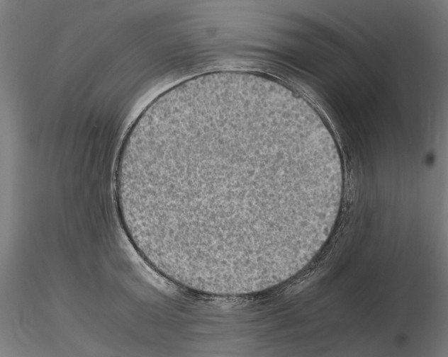 X0000115190803200912091109