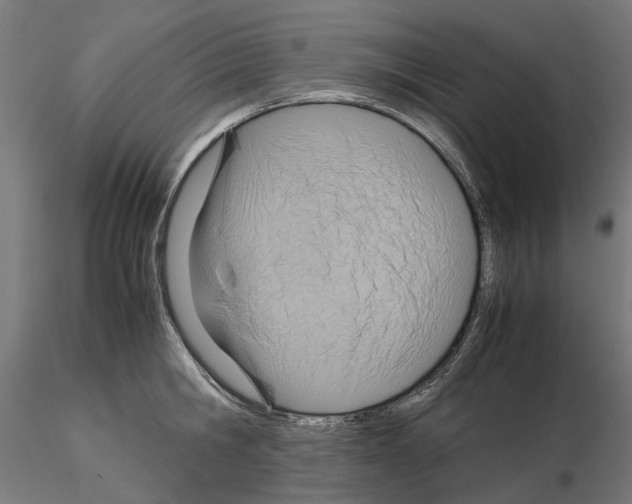 X0000115190806200912091109