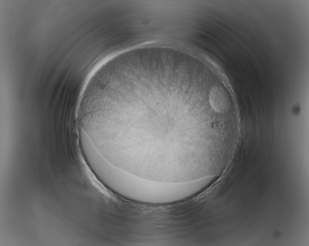 X0000115190808200912091109