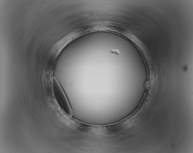 X0000115190809200912091109