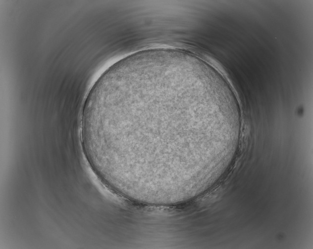 X0000115190811200912091109