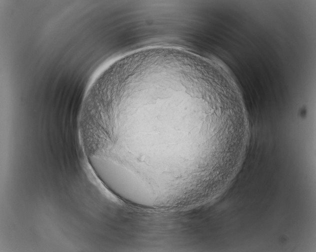 X0000115190812200912091109