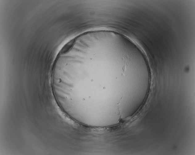 X0000115190813200912091109