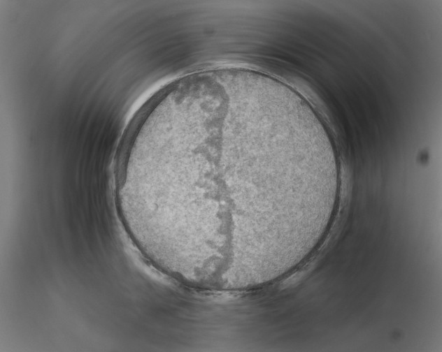 X0000115190814200912091109