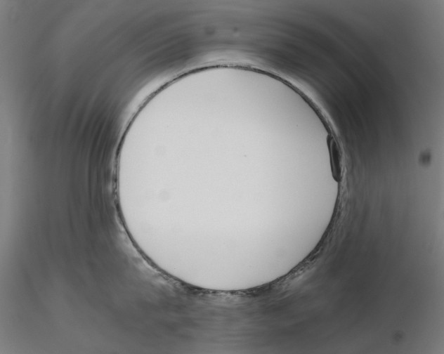 X0000115190815200912091109