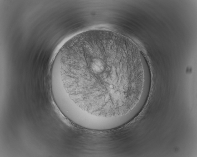 X0000115190816200912091109