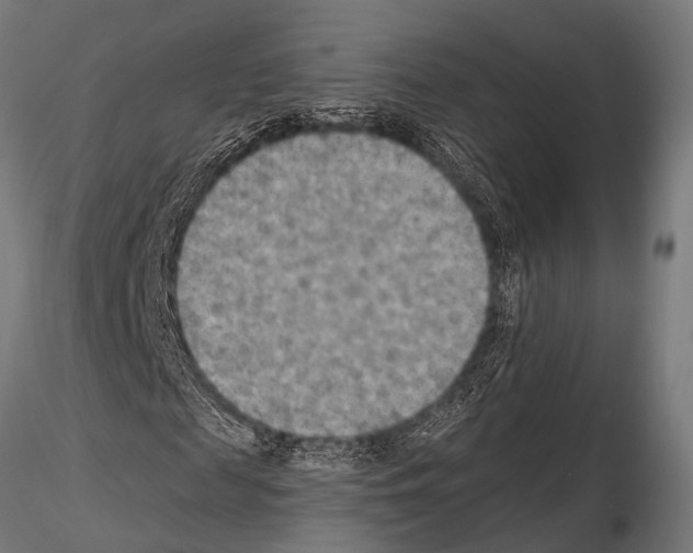 X0000115190817200912091108