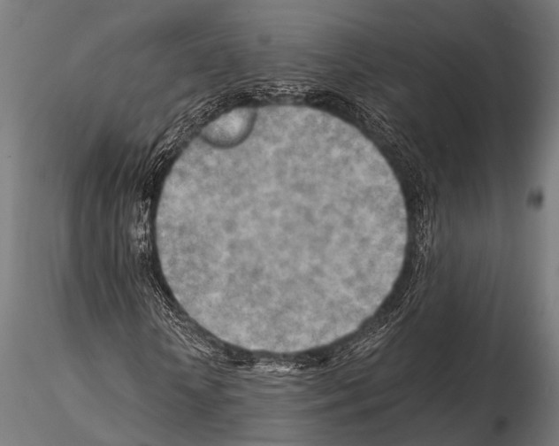 X0000115190818200912091108