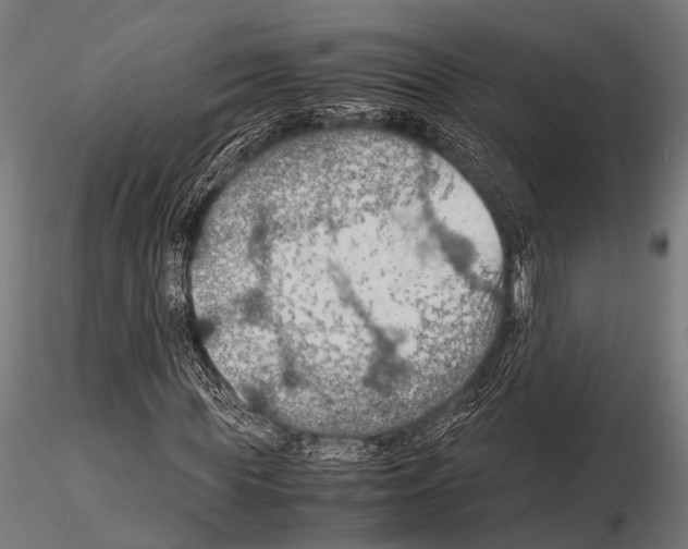 X0000115190819200912091108