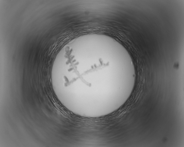 X0000115190820200912091108