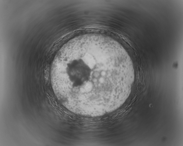 X0000115190821200912091108