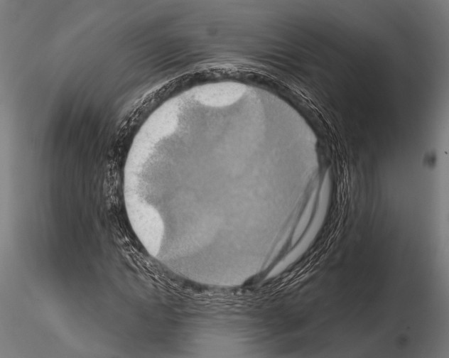 X0000115190822200912091108