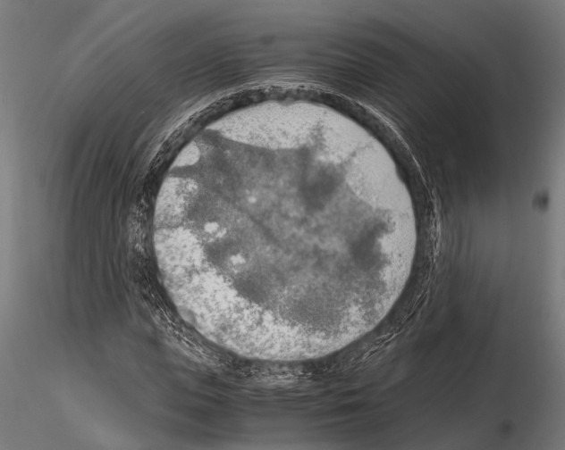 X0000115190823200912091108