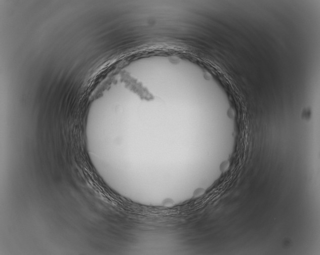 X0000115190824200912091108