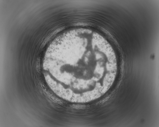 X0000115190825200912091108