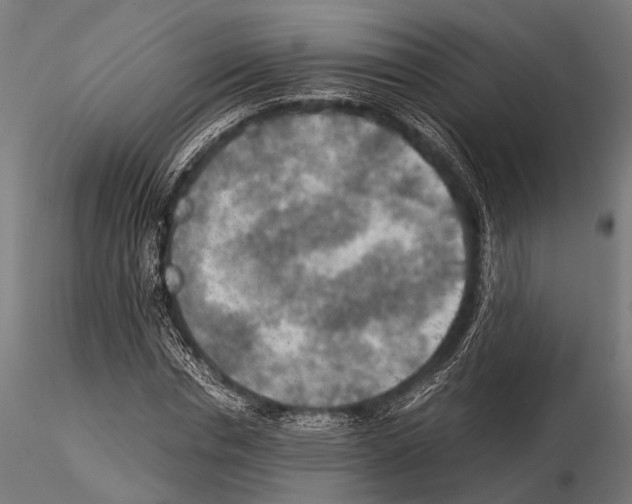 X0000115190826200912091108