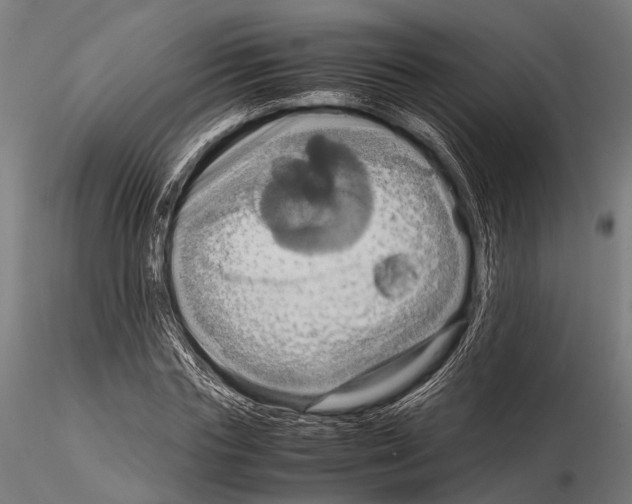 X0000115190827200912091108