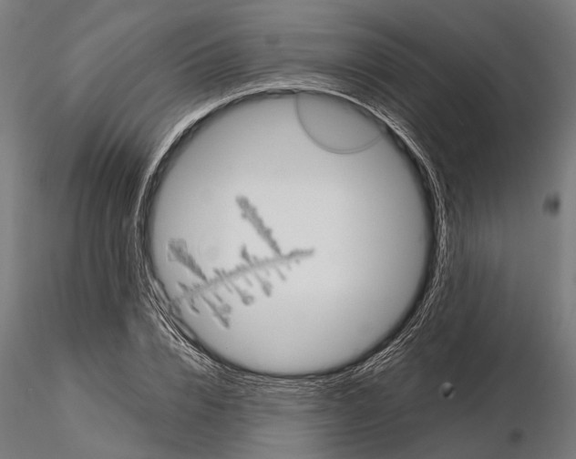 X0000115190832200912091108