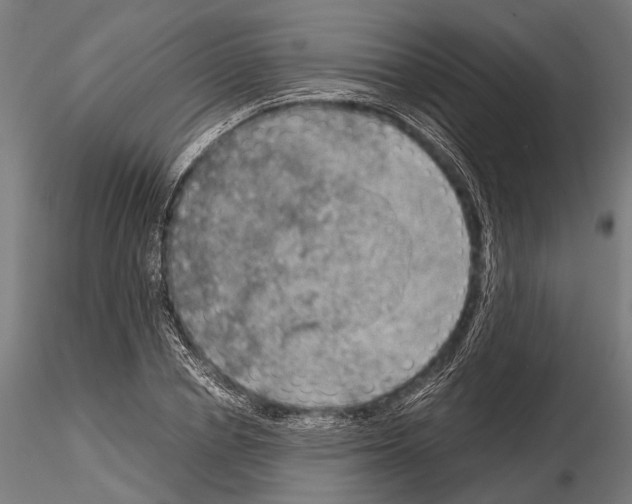 X0000115190834200912091108