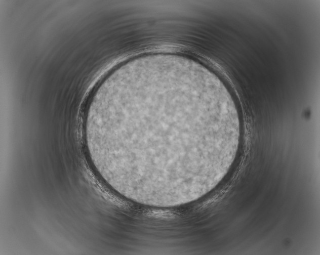 X0000115190835200912091109