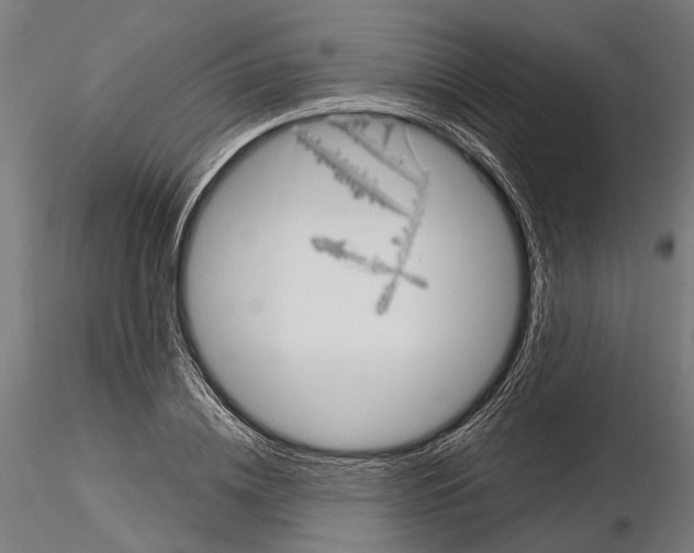 X0000115190836200912091109