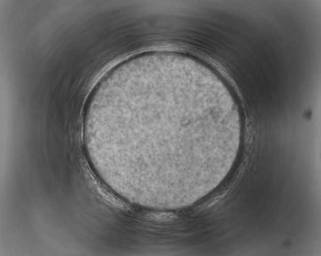 X0000115190837200912091109