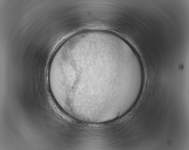 X0000115190840200912091109