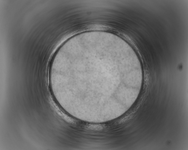 X0000115190843200912091109