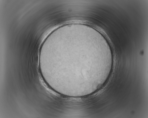 X0000115190844200912091109