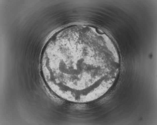 X0000115190845200912091109