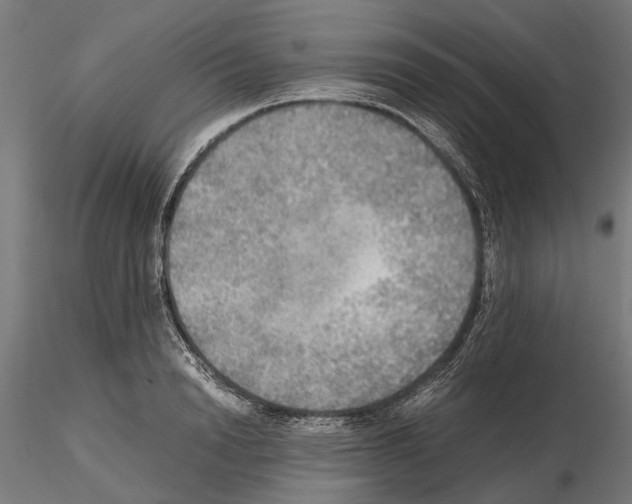 X0000115190846200912091109