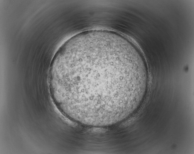 X0000115190847200912091109