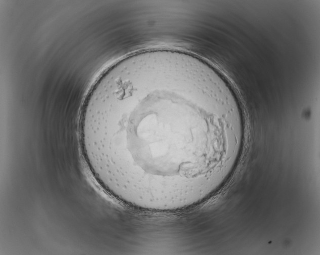 X0000115190848200912091109