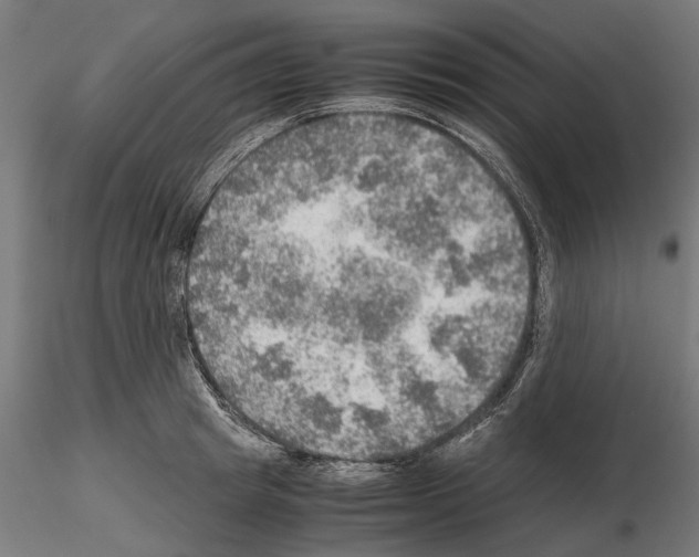 X0000115190849200912091109