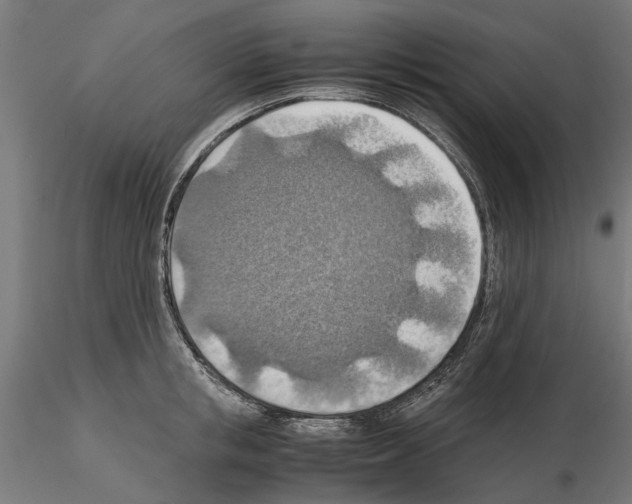 X0000115190853200912091109