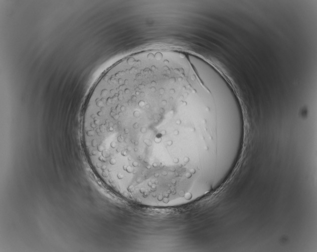 X0000115190854200912091109