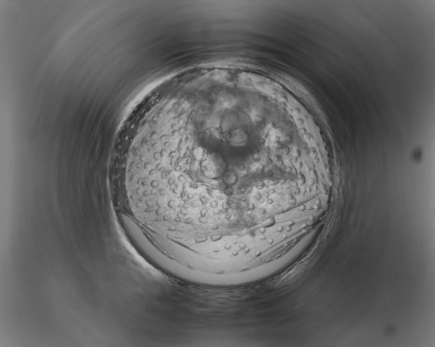 X0000115190855200912091109