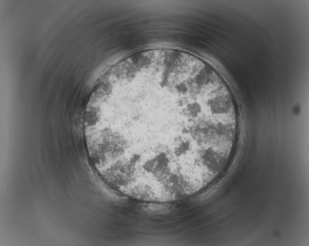 X0000115190857200912091109