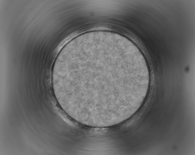 X0000115190858200912091109