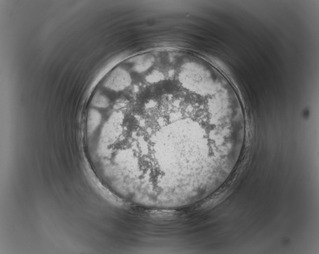 X0000115190859200912091109