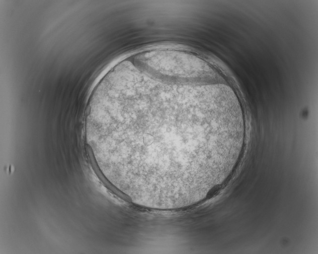 X0000115190860200912091109