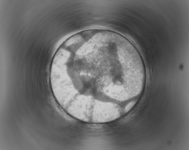 X0000115190862200912091109