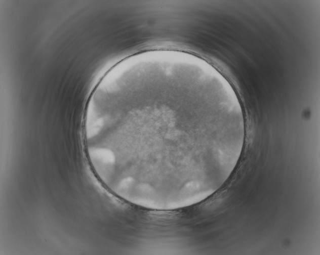 X0000115190863200912091109