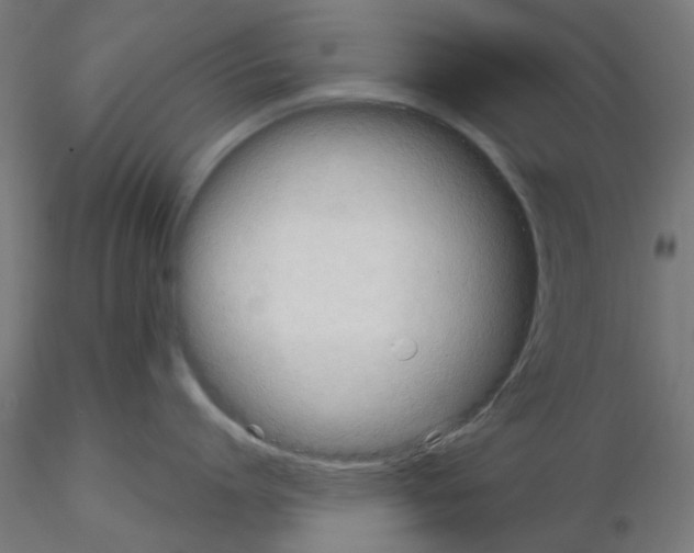 X0000115190864200912091109