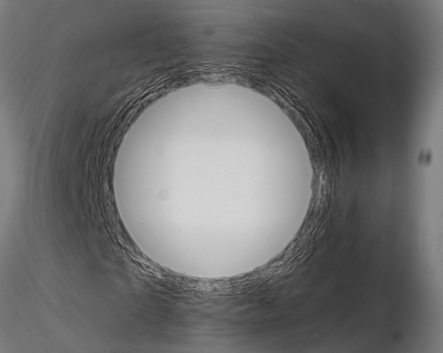 X0000115190865200912091108