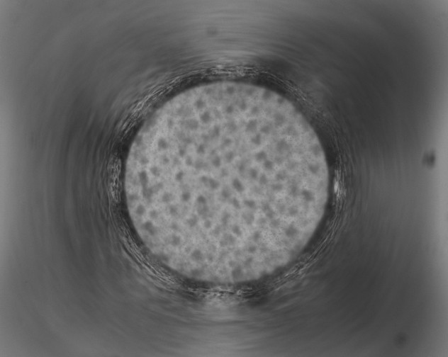 X0000115190867200912091108